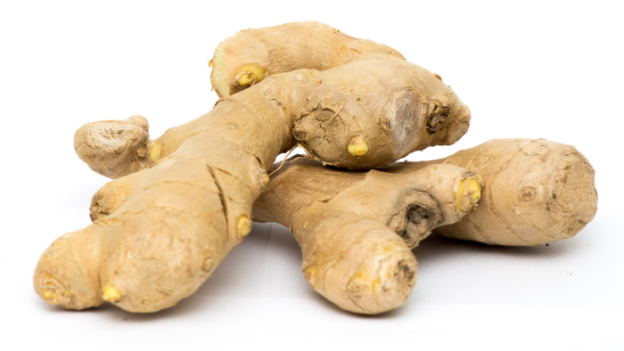 ../images/ginger_scaled.jpeg