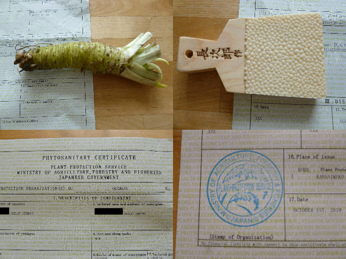 ../images/wasabi_scaled.jpeg